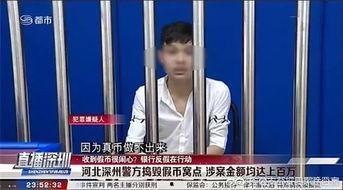 最搞笑的嫌犯,盘点史上最搞笑的嫌犯瞬间