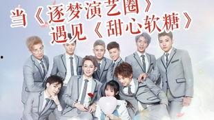 逐梦娱乐圈》,青春追梦，星光璀璨的演艺之路